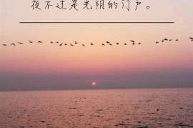 星子职业捉奸人